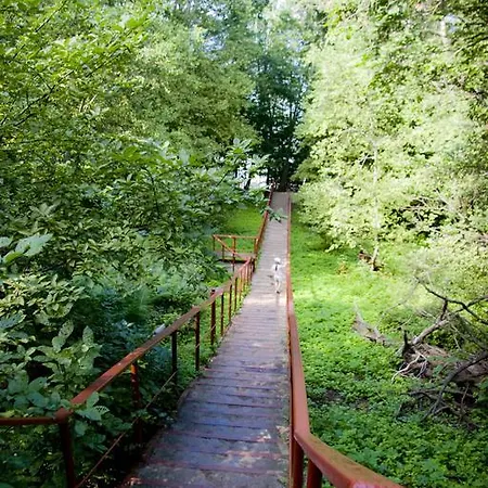 Maennisalu Κάμπινγκ *