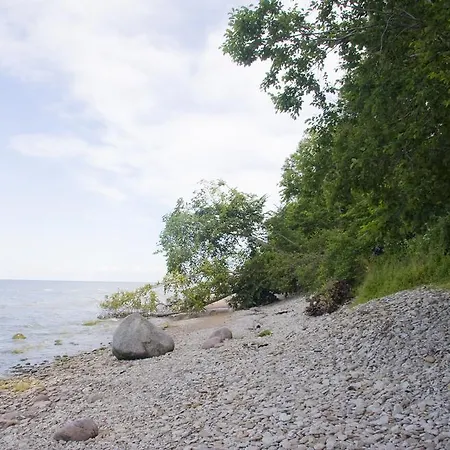 Maennisalu Toila