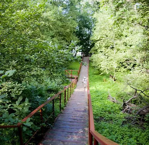 Maennisalu Kemping *